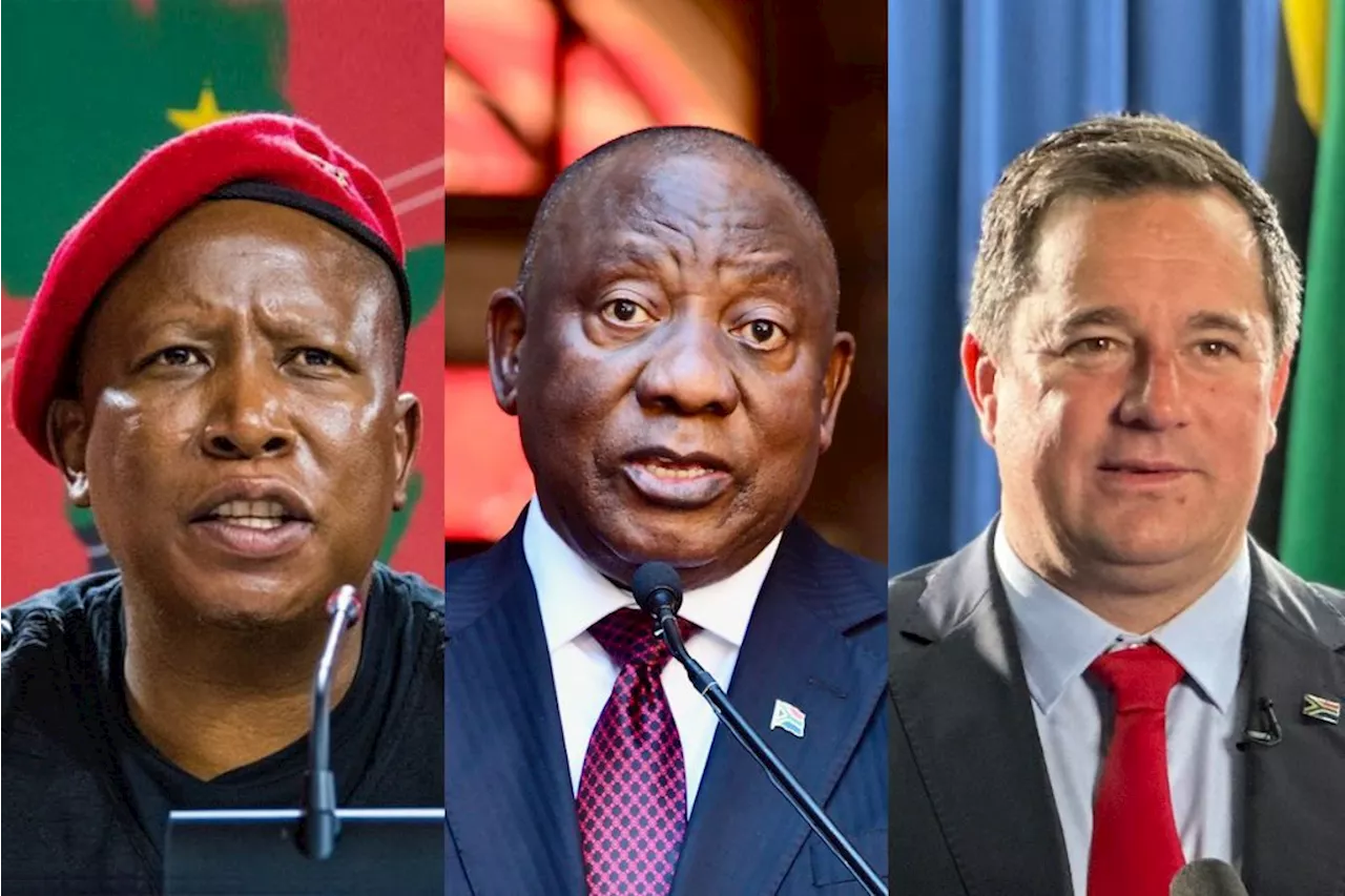 South Africa’s political parties are in the doghouse