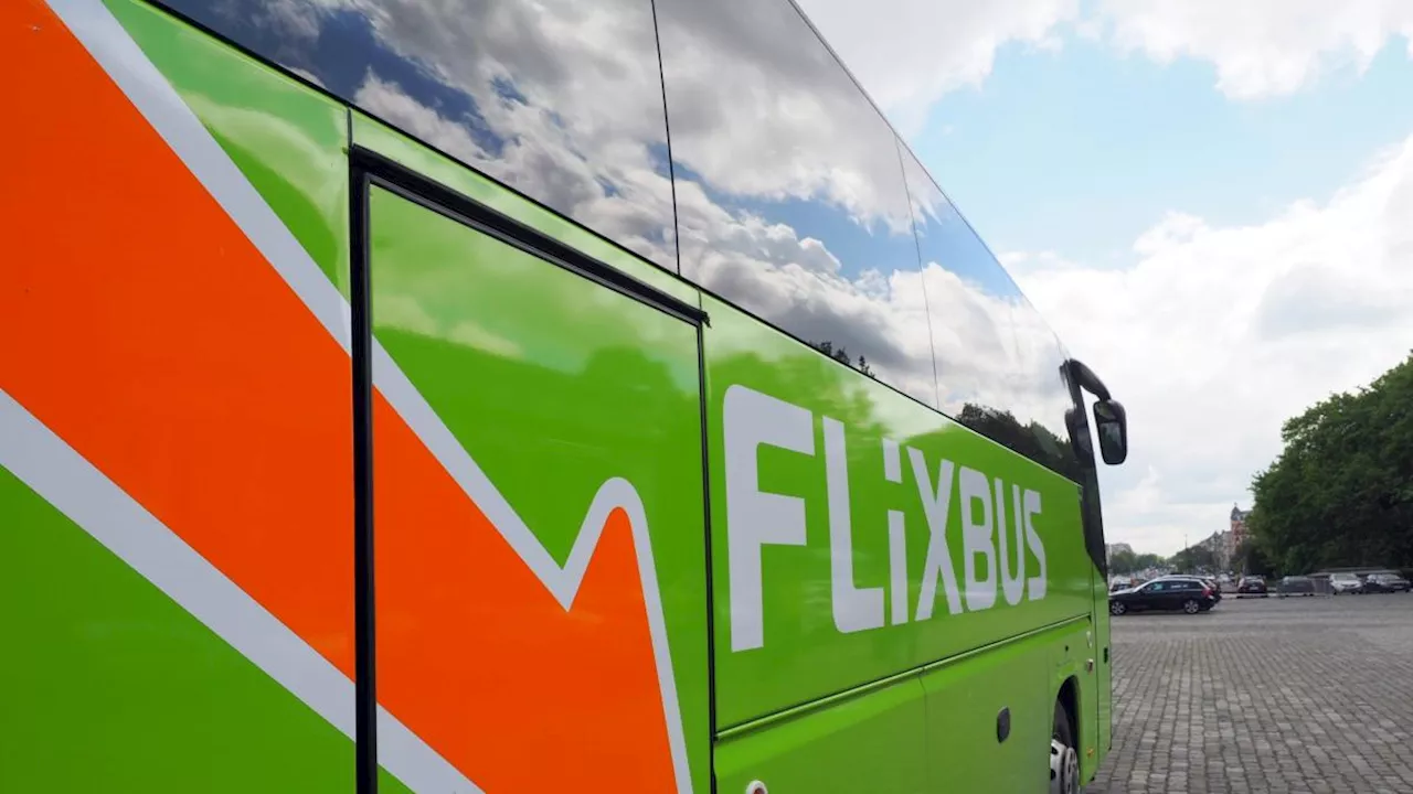 FlixBus, come funziona la low cost dei trasporti europei su pullman