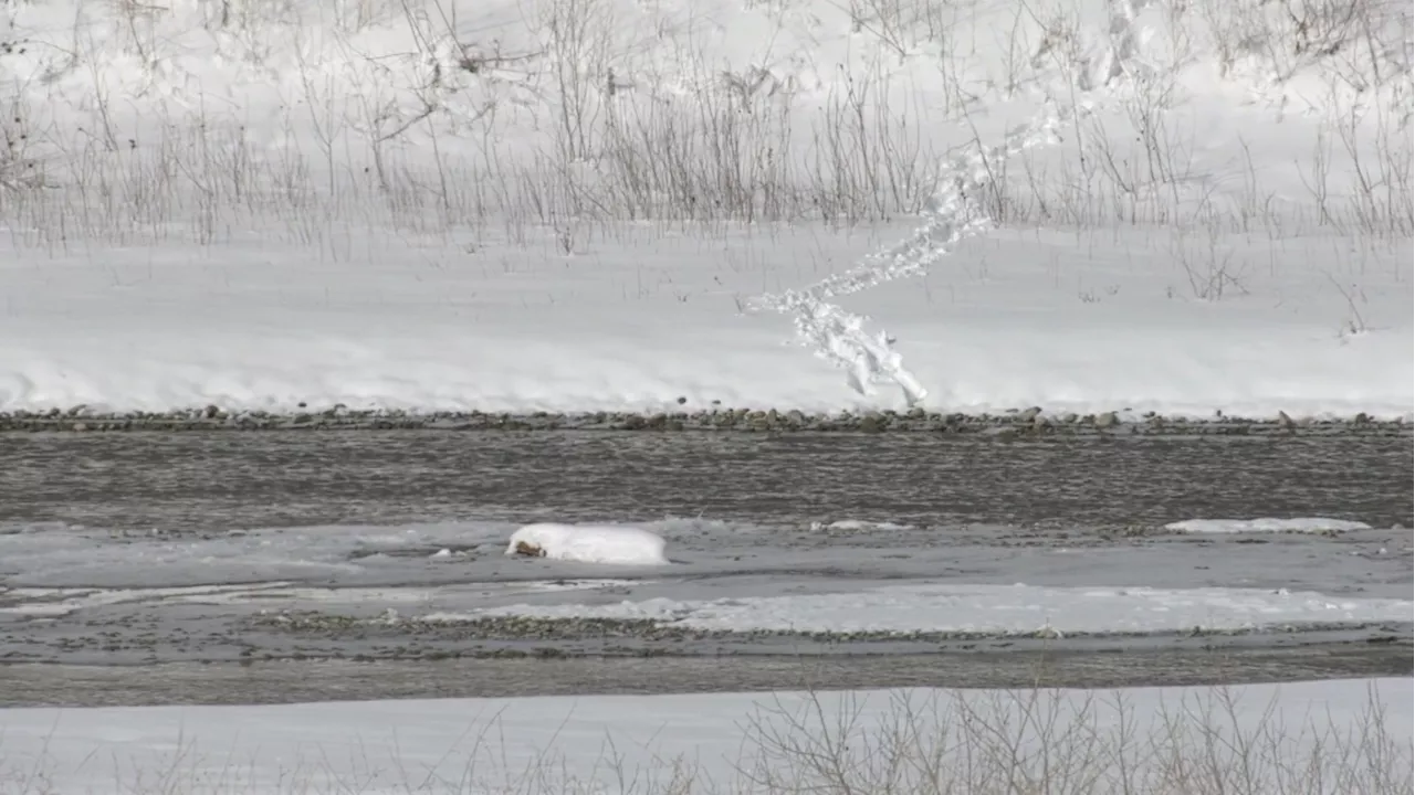 Southern Alberta communities bracing for drought