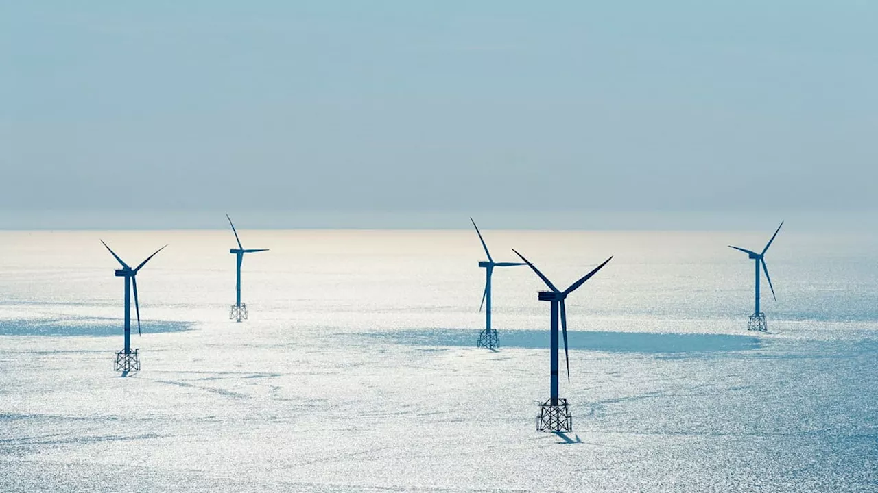 Staten kan få peka ut platser för havsvindkraft