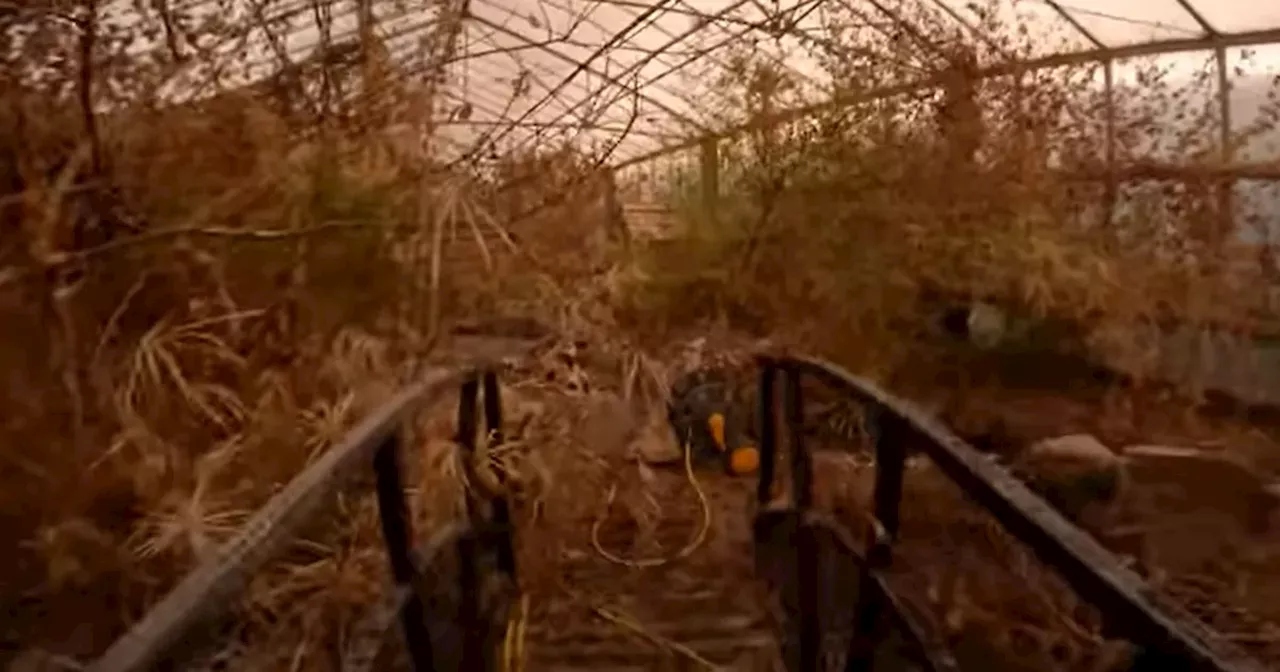 Abandoned Edinburgh Butterfly World attraction captured in eerie footage