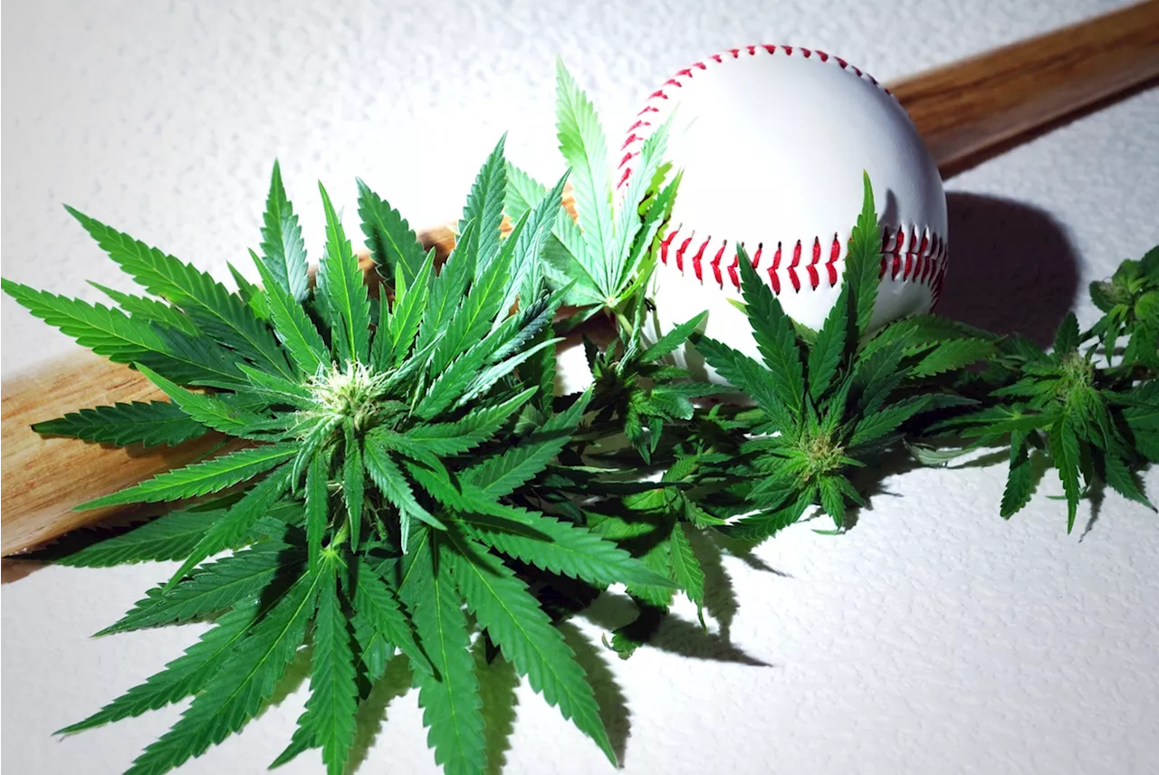 Hard Hitters: Eight Strains to Help You Watch Baseball