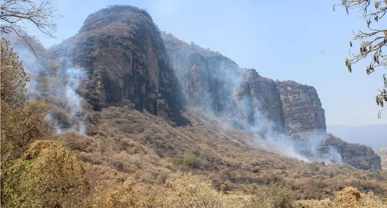 Fuego consume 154 hectáreas de corredor biológico Chichinautzin en Tlayacapan, Morelos