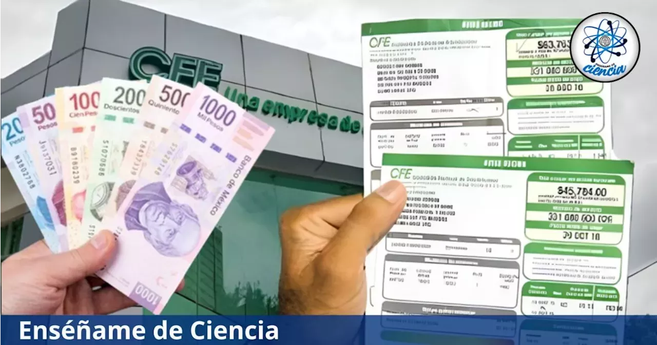 CFE: Estos Son Los Requisitos Que Debes Cumplir Para Solicitar El ...