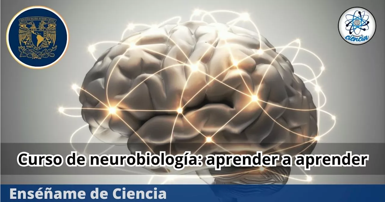 La UNAM lanza Curso de neurobiología: Cómo aprender a aprender, es gratis y 100% online