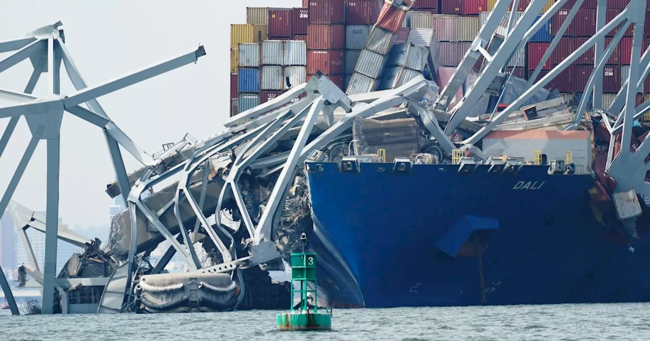 Ponte di Baltimora, container danneggiati: allarme per materiali pericolosi