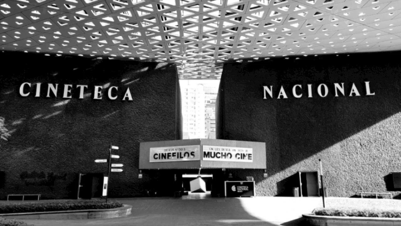 Cineteca Nacional: ¿descubre cómo llegar a su terraza secreta en la sucursal de Coyoacán?