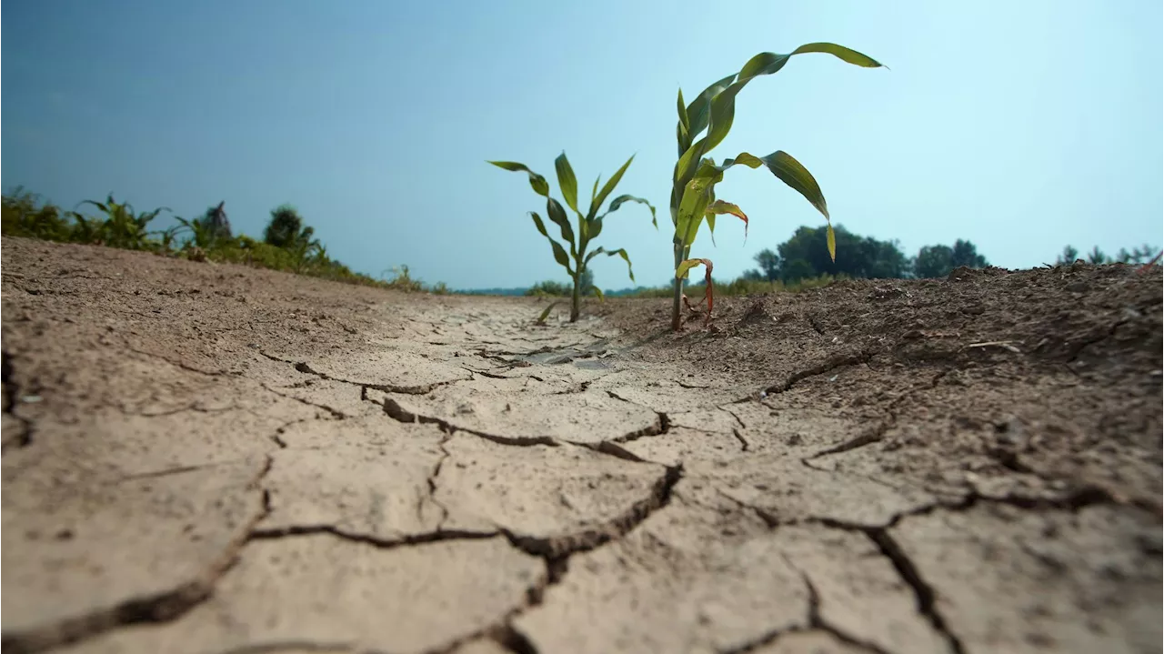 'Bis zu 2 Grad mehr' – hier schlägt Klimawandel voll zu