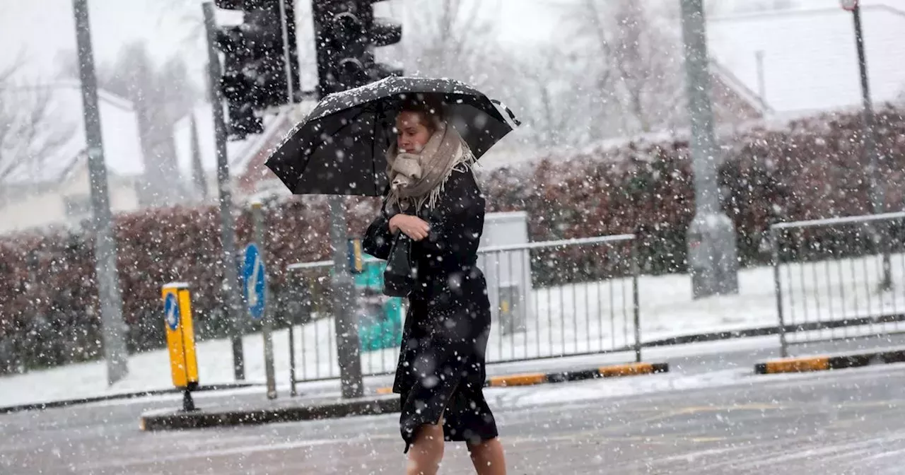 Ireland snow tracker as two counties placed under Status Yellow warning