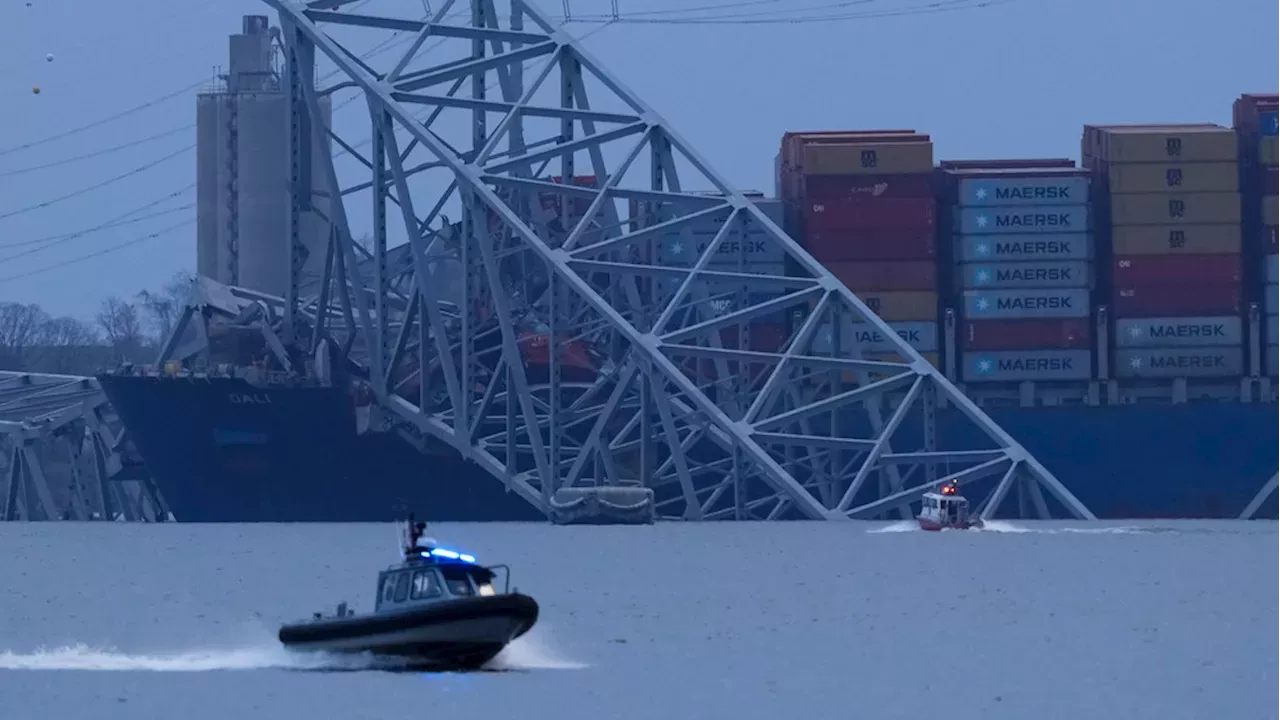 Baltimore Bridge Collapses After Cargo Ship Hits; Search For 6 Presumed ...