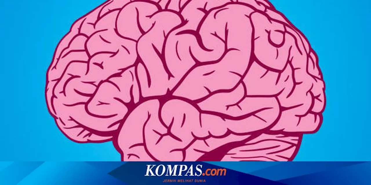 Studi Sebut Generasi Muda Punya Volume Otak Lebih Besar