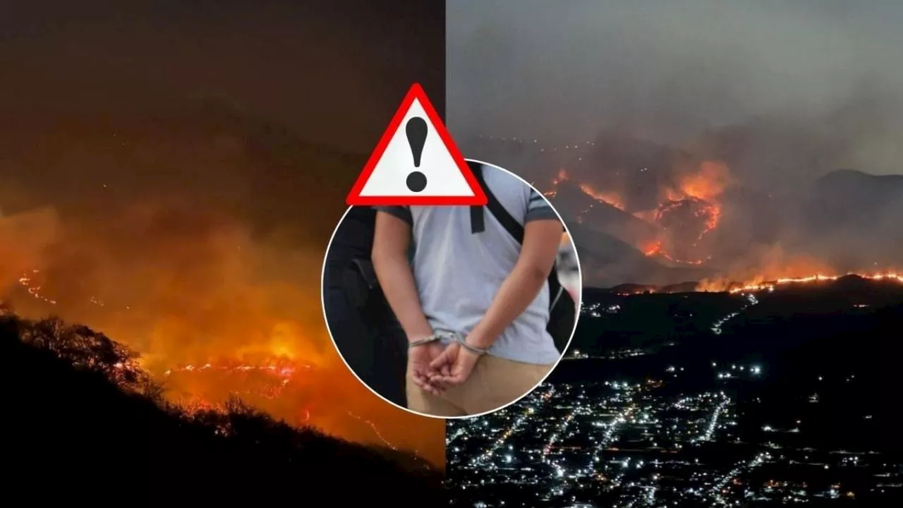 ¿Cuántos años pasaría en la cárcel quien provoque un incendio forestal en Veracruz?