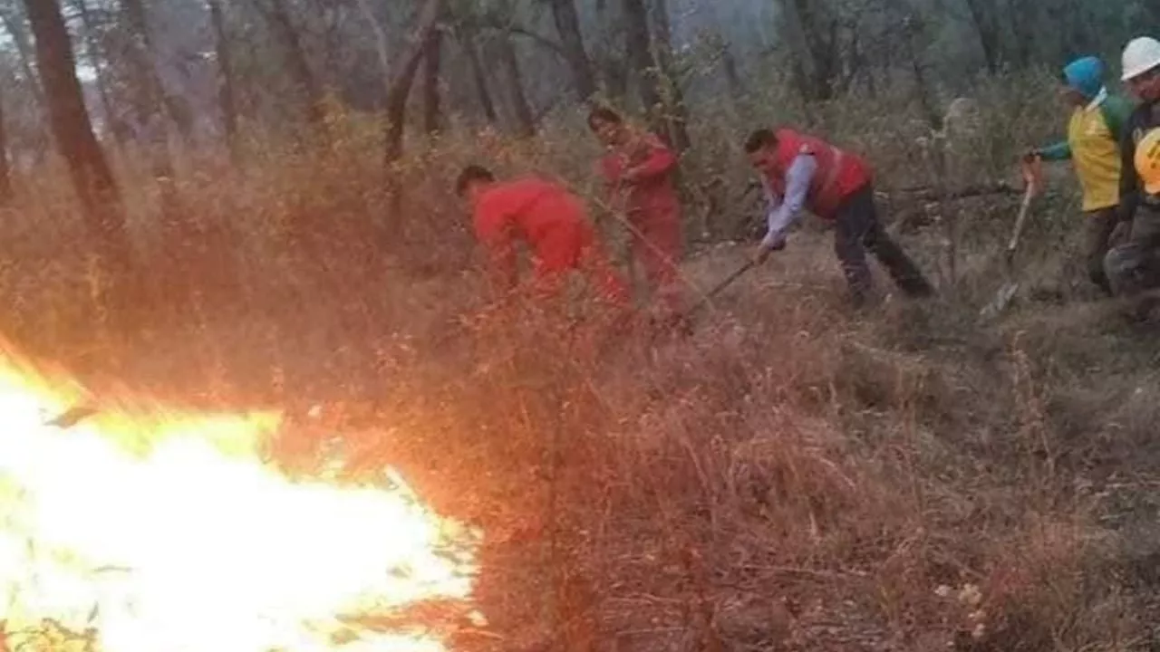 Se reavivan incendios en Jilotzingo; piden apoyo para los brigadistas