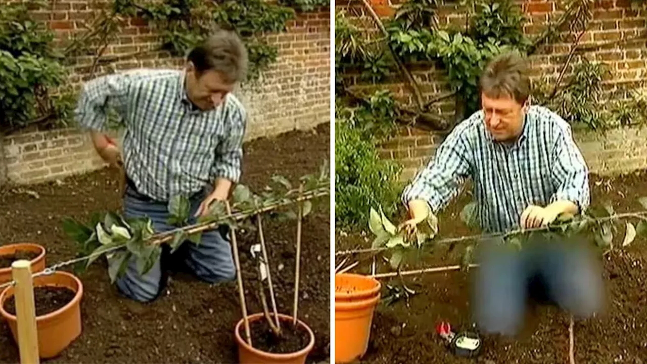 Alan’s Garden Secrets: North Korea censors Titchmarsh's trousers