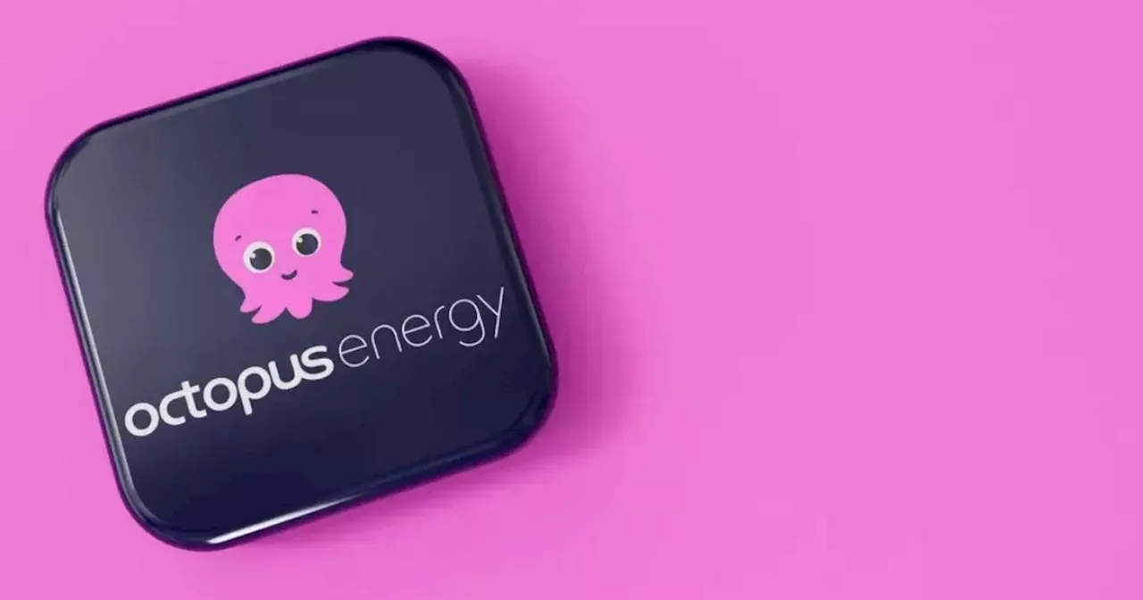 Octopus Energy issues message to customers with £239 boost from April