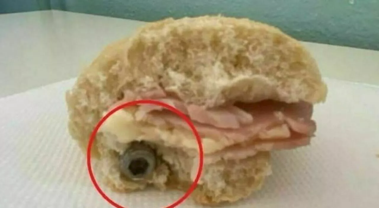 Bullone nel panino della mensa scolastica: scatta una multa pesantissima