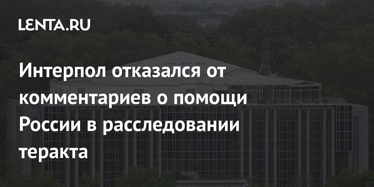 Интерпол отказался от комментариев о помощи России в расследовании теракта