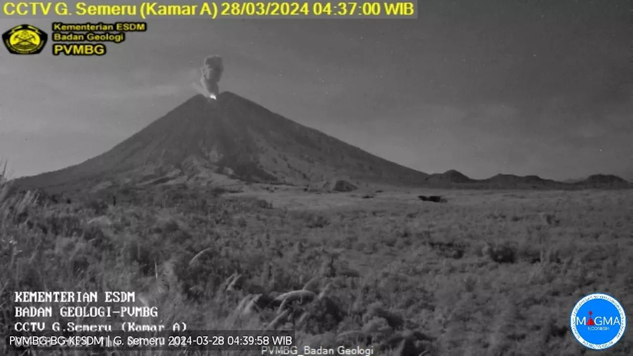 Gunung Semeru Erupsi Lagi, Semburkan Abu Vulkanik Setinggi 800 Meter ke Arah Selatan