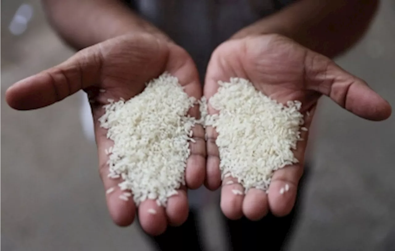 Mat Sabu: Malaysia seeks additional 500,000 tonnes of white rice from India