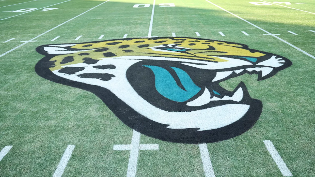 Convicted sex offender who hacked jumbotron at the Jaguars' stadium gets 220 years