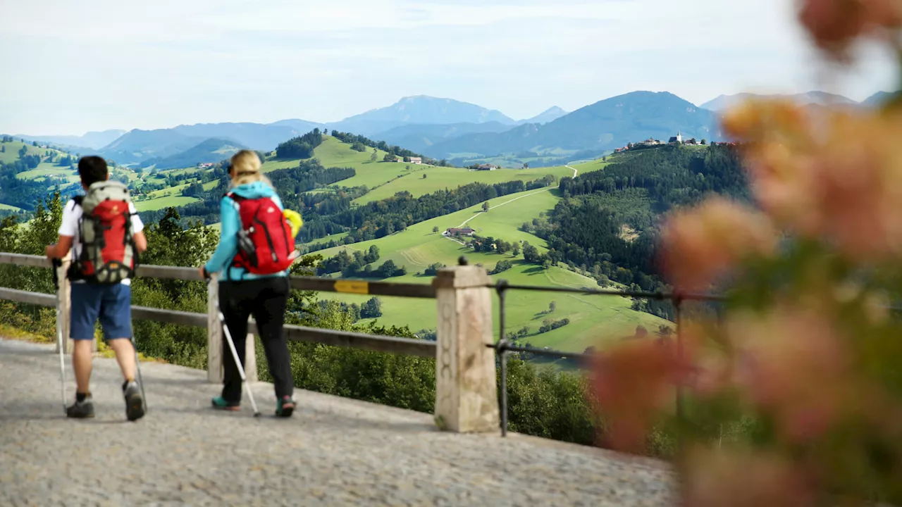 „Via Trinitatis“: Mostviertel bekommt neuen Pilgerweg