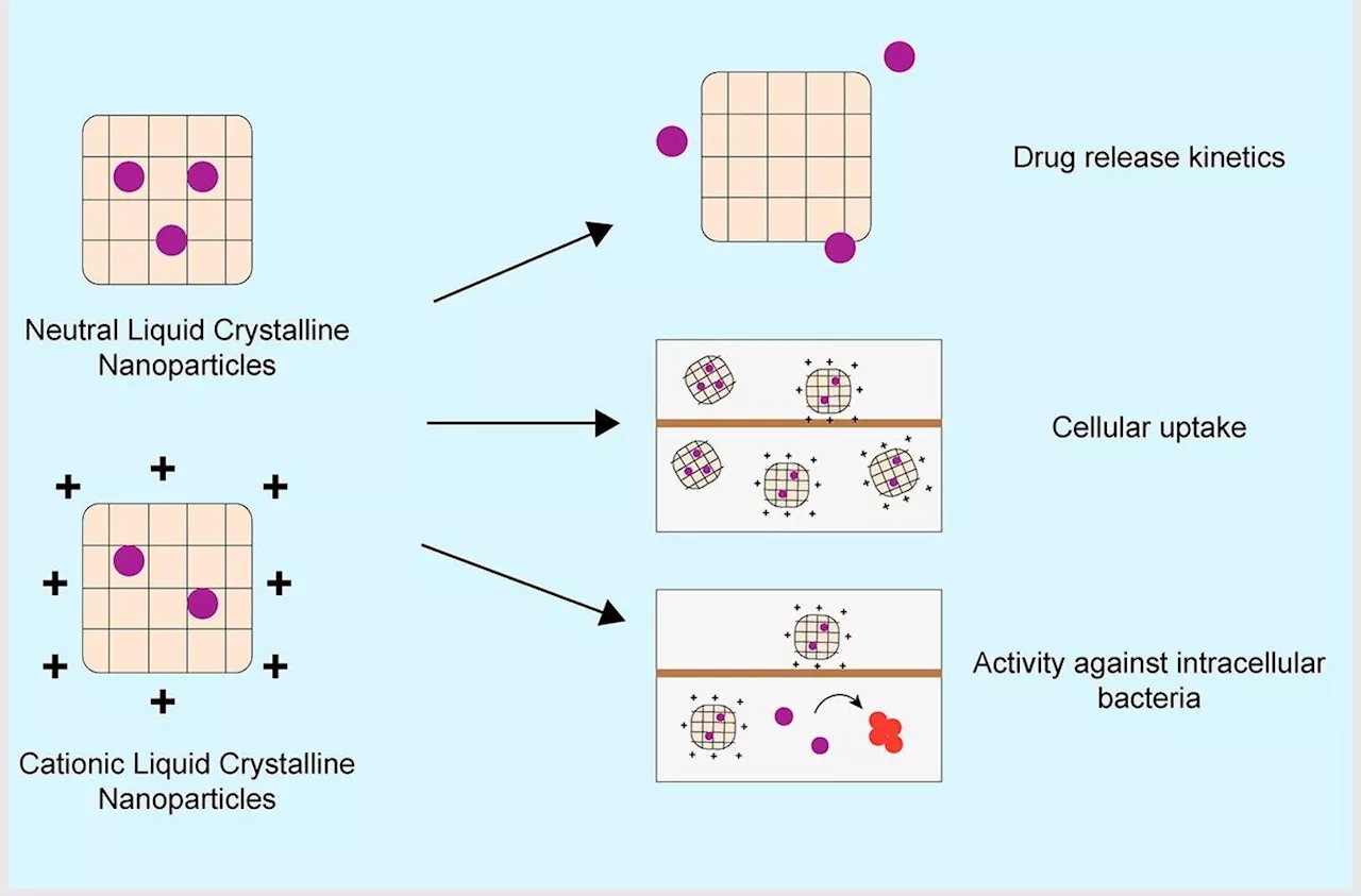 Liquid crystal nanoparticles could supercharge antibiotics for cystic fibrosis