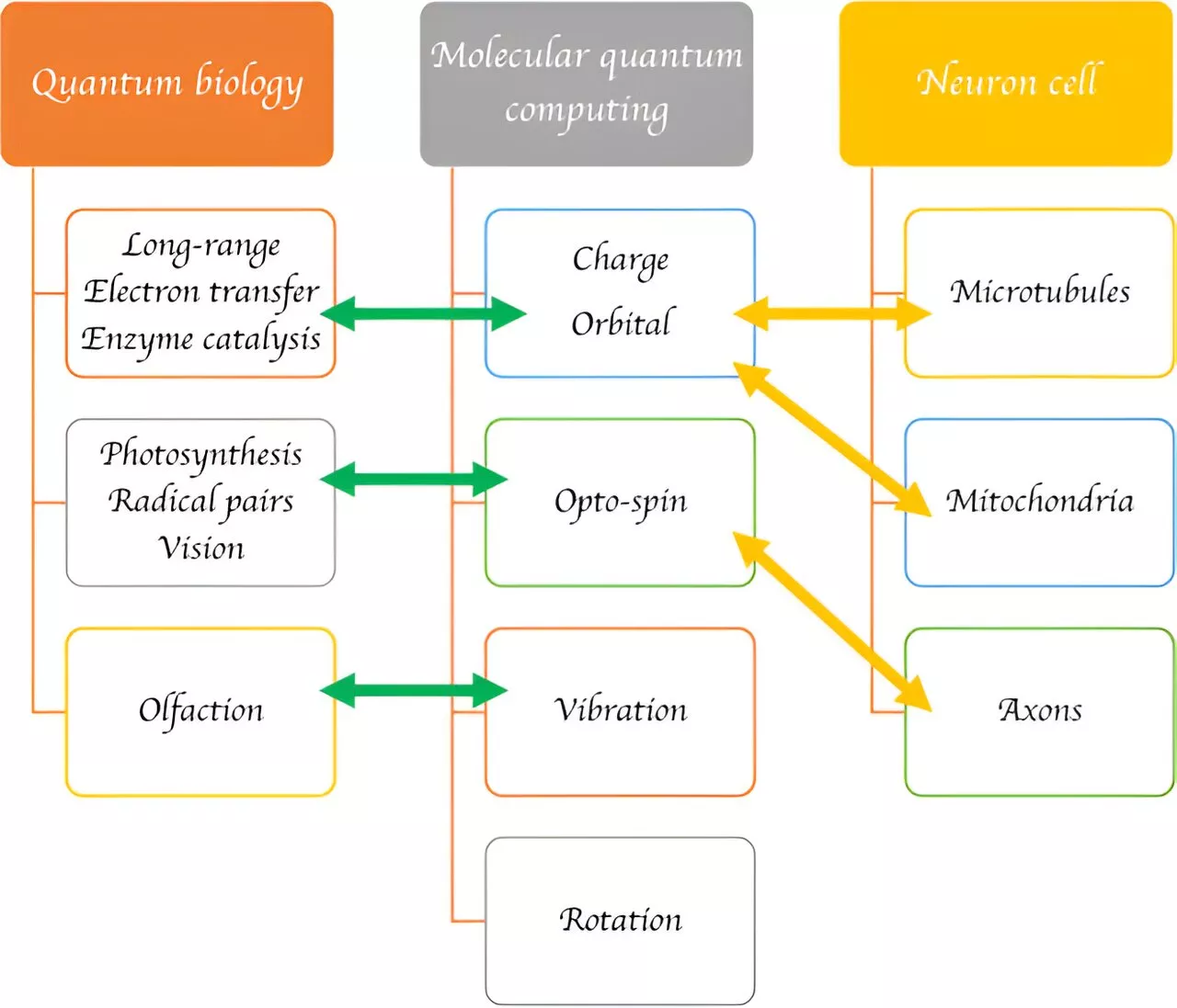 New research area promotes both quantum computing and cognitive science