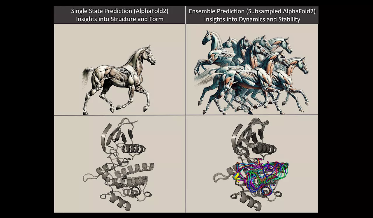 New technique for predicting protein dynamics may prove big breakthrough for drug discovery