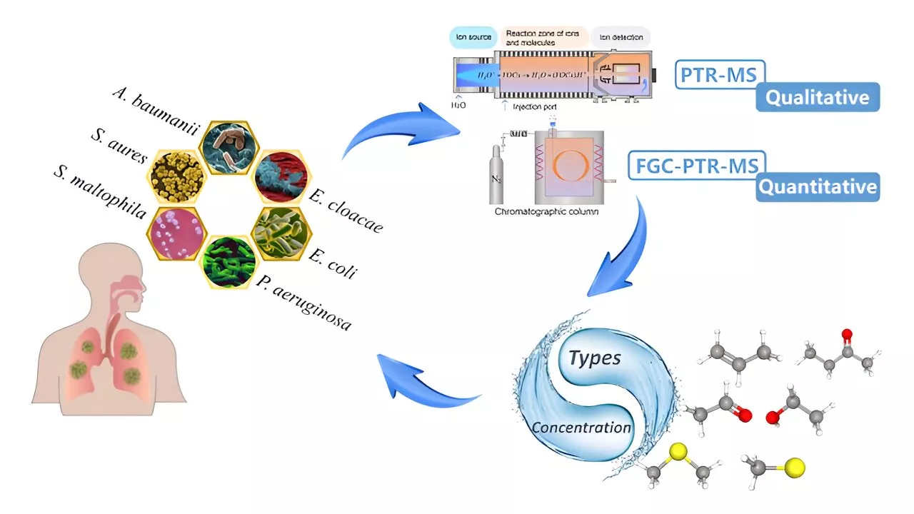 Sniffing out bacteria: Team develops a novel approach for rapid bacterial species identification