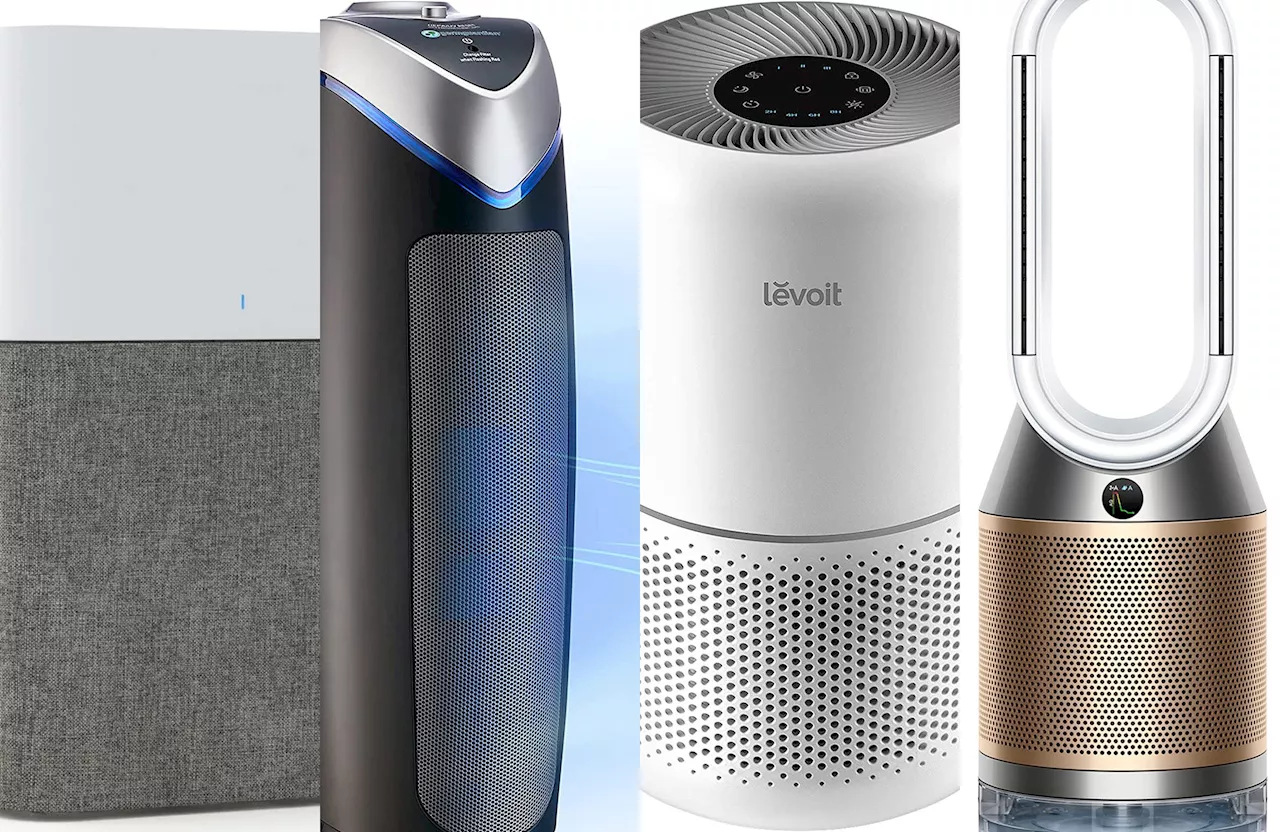 The best air purifiers for 2024