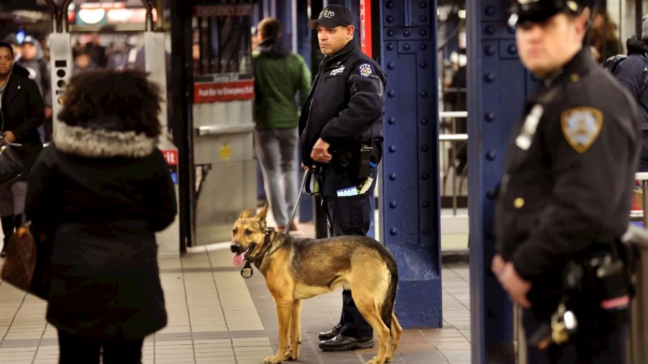 Muere una persona al ser empujada hacia las vías en metro de Nueva York