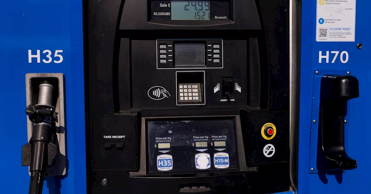 Hydrogen industry pleads for easier path to US tax credits