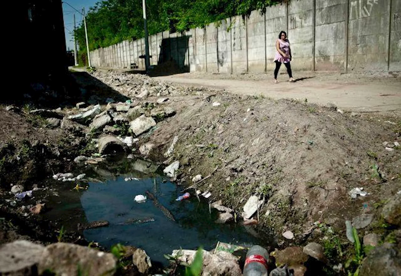 Curitiba é a capital menos desigual do Brasil, segundo levantamento do Instituto Cidades Sustentáveis