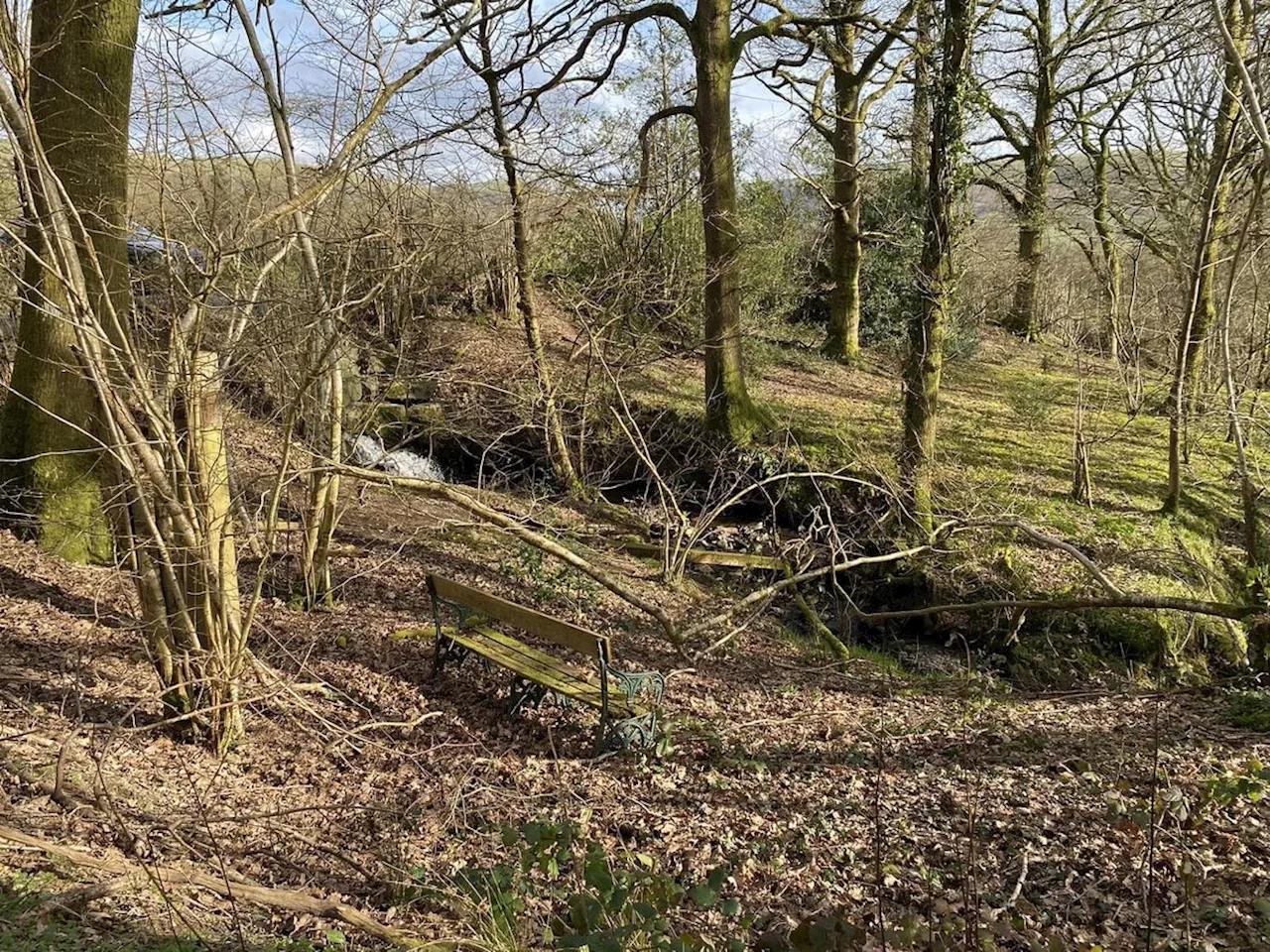 Chance to own your own picturesque corner of Mid Wales for £20,000