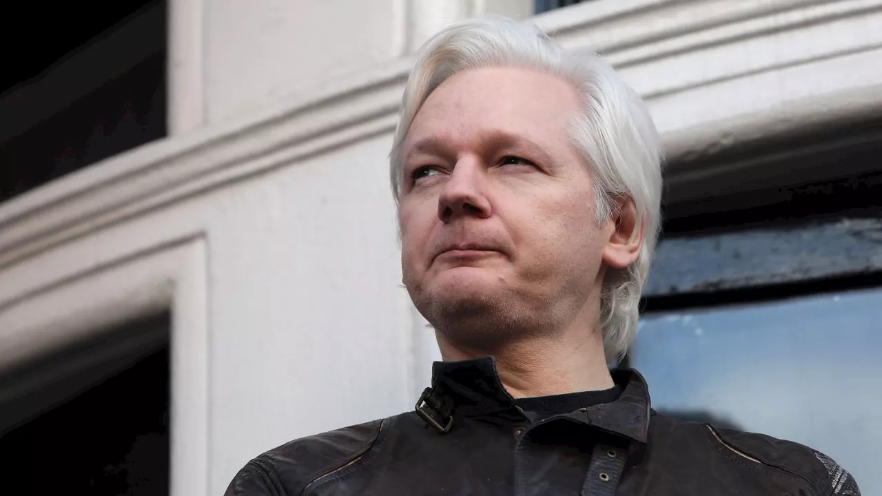 ‘Ticking clock situation’: Assange’s brother’s plea to Albanese amid extradition delay