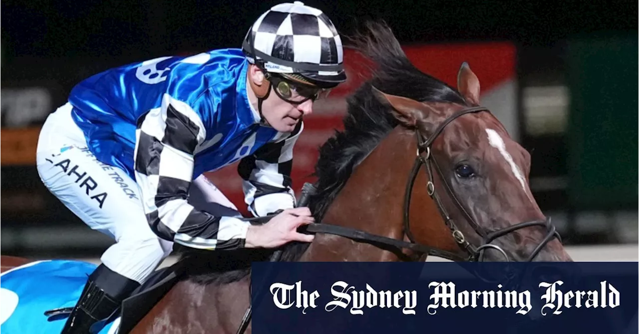 After 1300 days between wins, luckless Ashrun ready to crown fairytale return