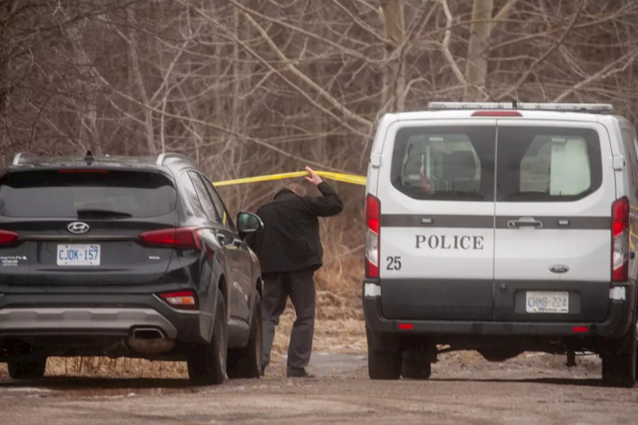 UPDATE: Nothing found in west-end neighbourhood search, Sault Police say