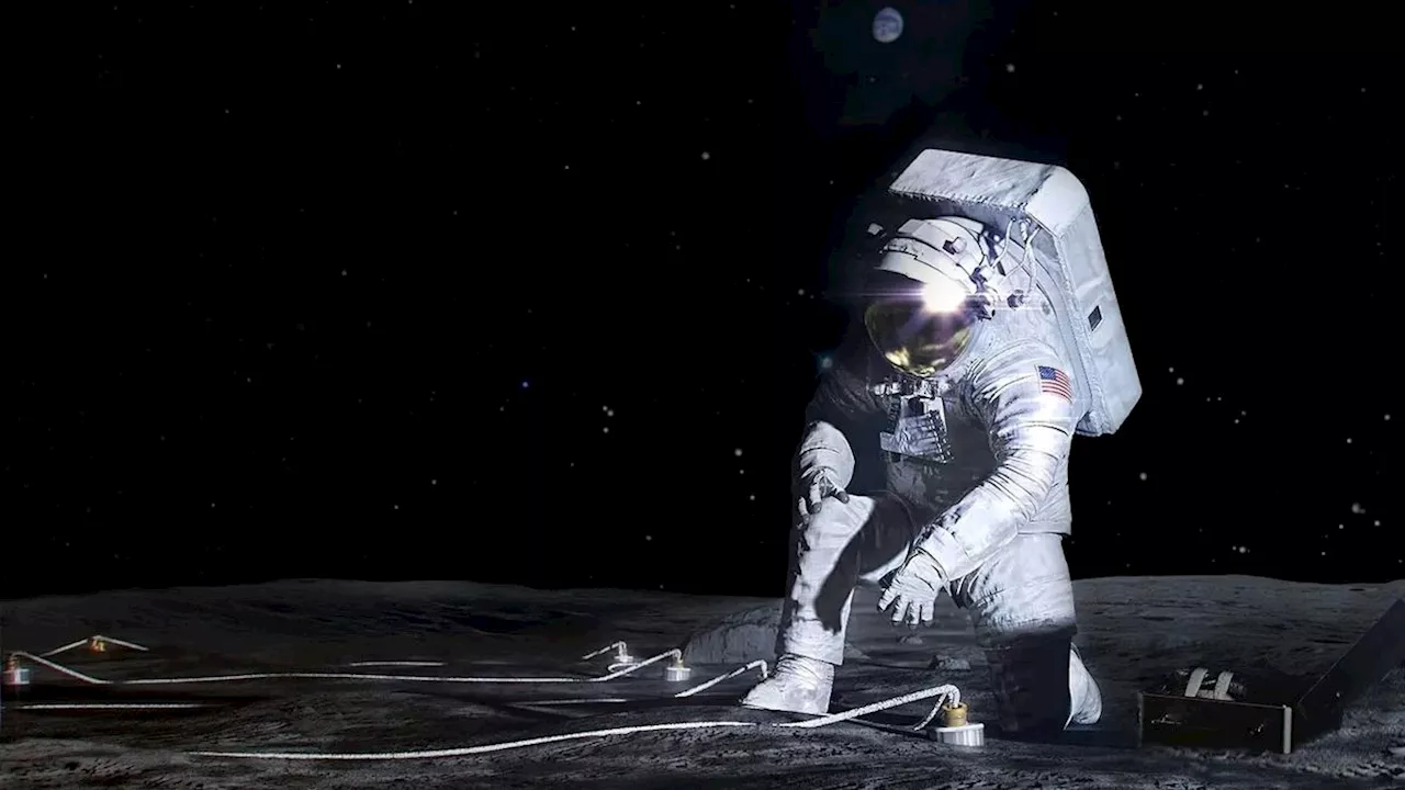 Artemis astronauts will carry plants to the moon in 2026