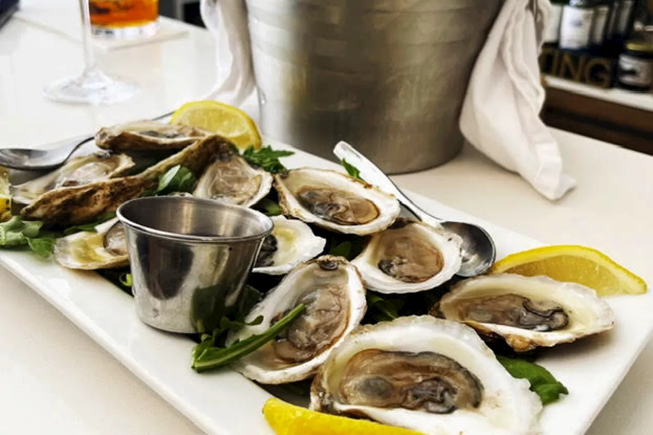 Let’s eat! Wander and the fine art of pairing oysters with vino