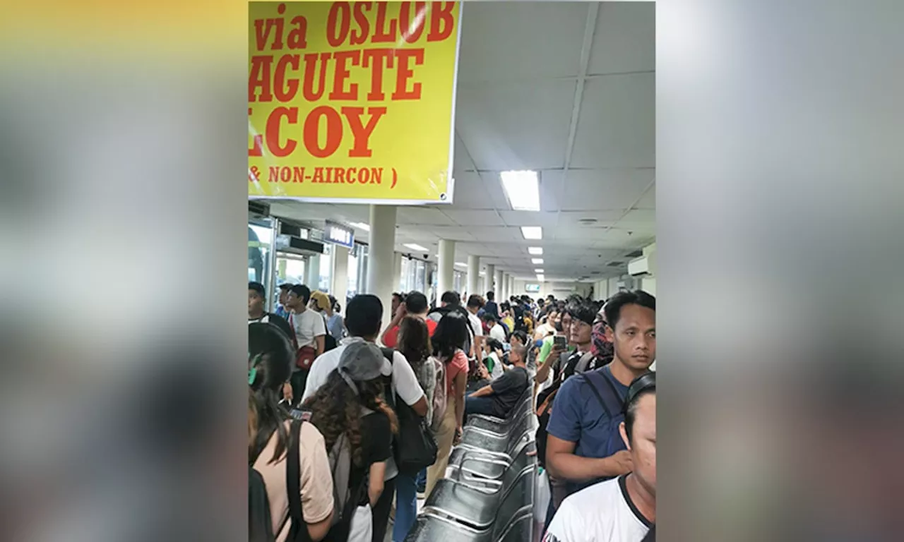 176 ka bus gihatagan og special permit sa LTFRB 7