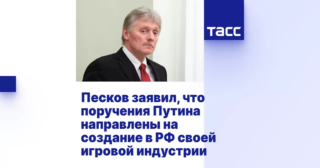 Песков заявил, что поручения Путина направлены на создание в РФ своей игровой индустрии