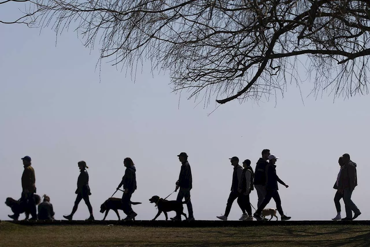 Canada’s population growing faster than any time in the past 65 years