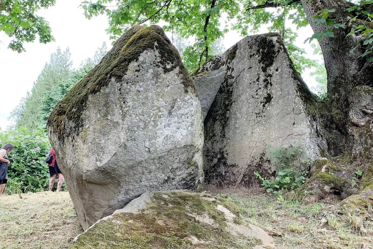 Province’s land purchase protects Indigenous sacred burial site in Abbotsford