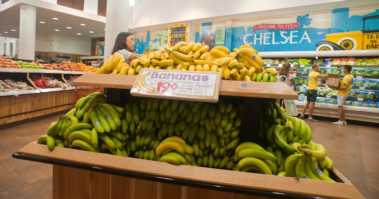 Trader Joe’s Raises Price Of Bananas More Than 20 Percent