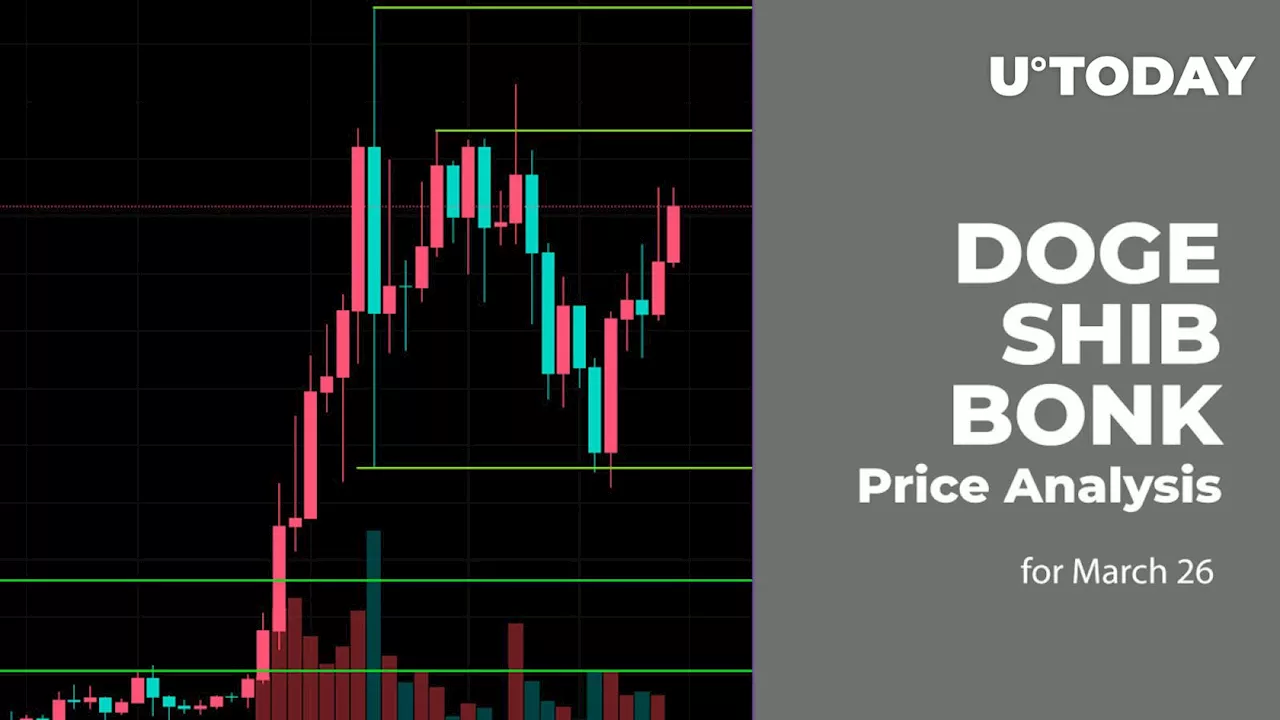 DOGE, SHIB and BONK Price Prediction for March 26