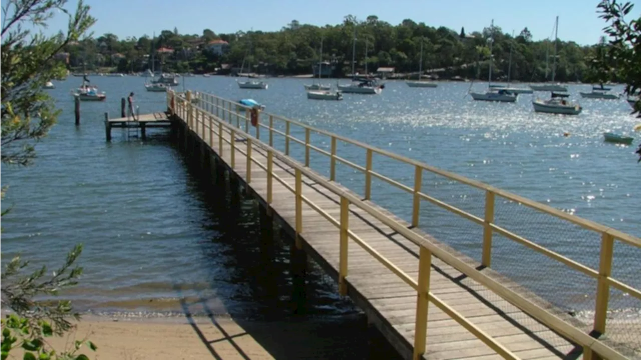 Warning after blue-ringed octopus spotted at Woolwich Baths in Sydney