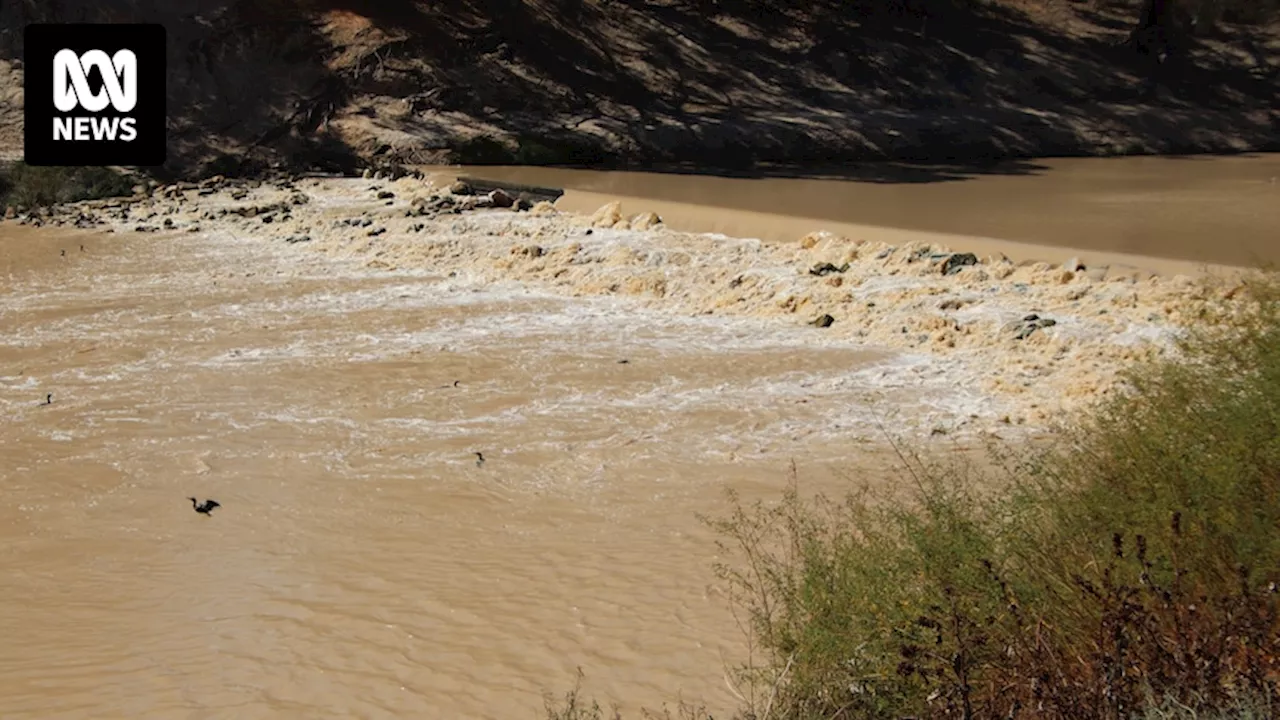 Fury in Wilcannia after NSW government changes plans for new weir without warning