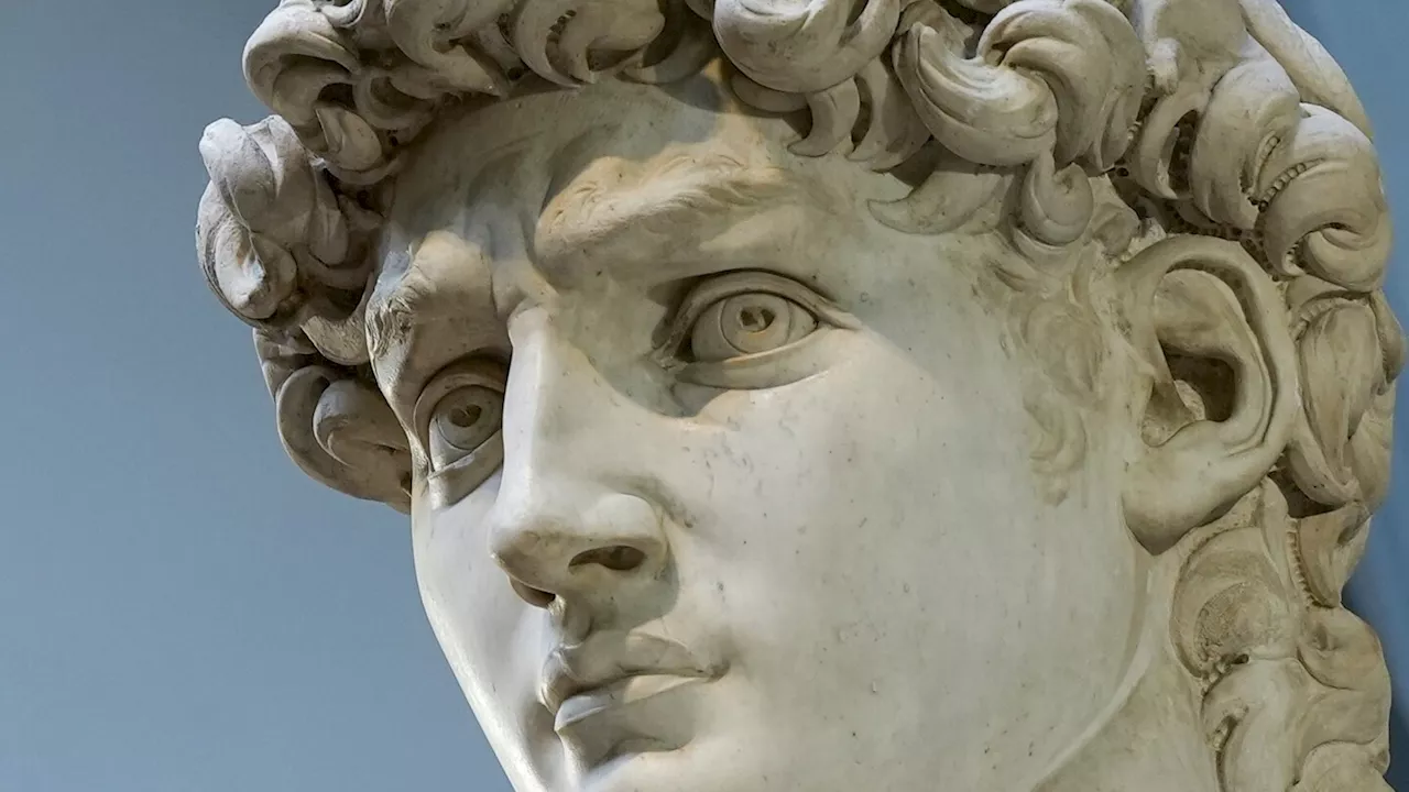 A fight to protect the dignity of Michelangelo's David raises questions about freedom of expression