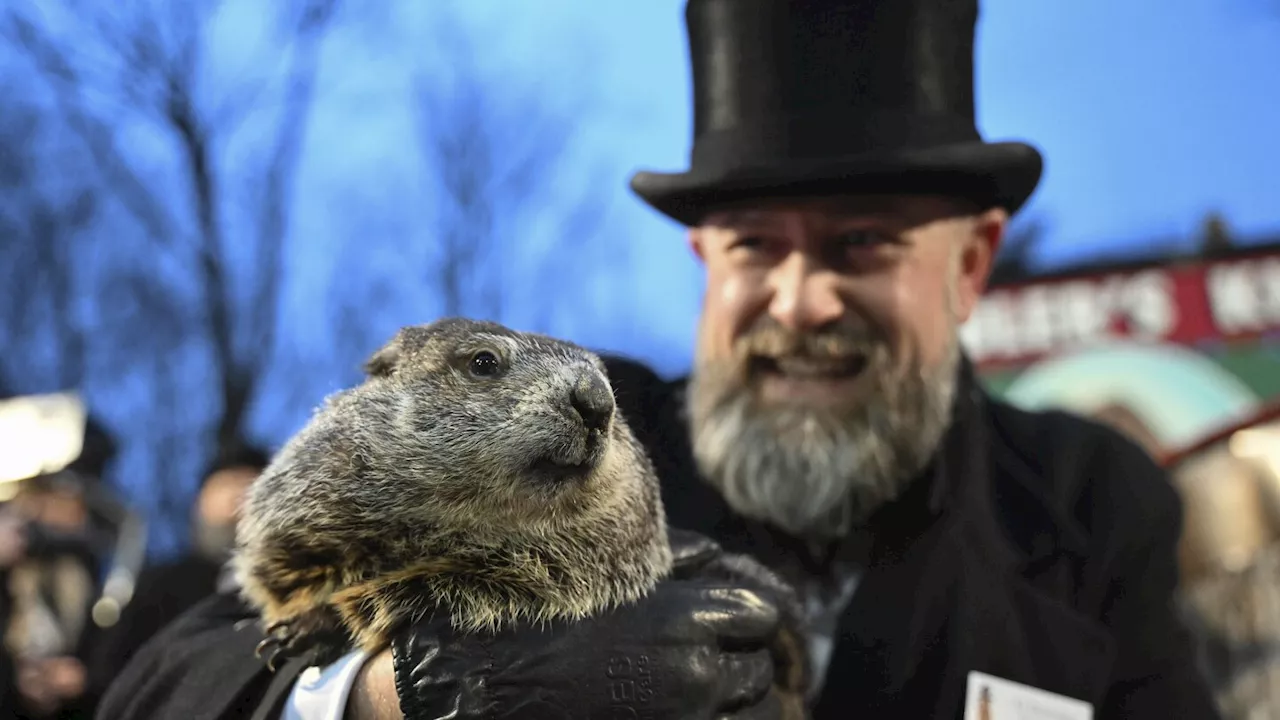 Punxsutawney Phil, the spring-predicting groundhog, and wife Phyliss are parents of 2 babies