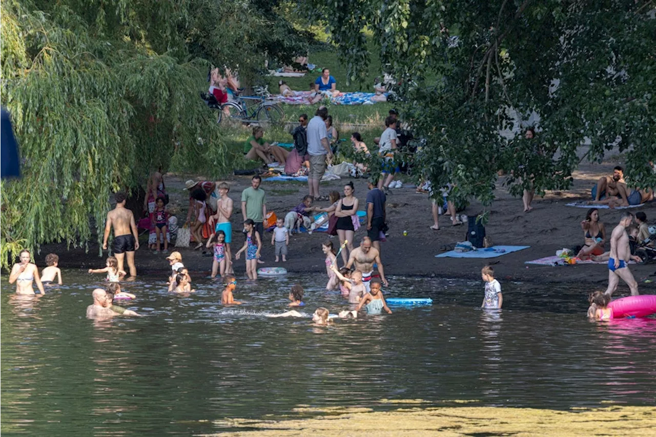 Pankow: Weißer See leidet unter Wildbaden – so soll er umgestaltet werden